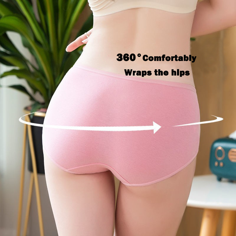 7개/세트 여성용 팬티 플러스 사이즈 속옷 면 팬티 소 - Multi Pack Underwear 리뷰 및 가격