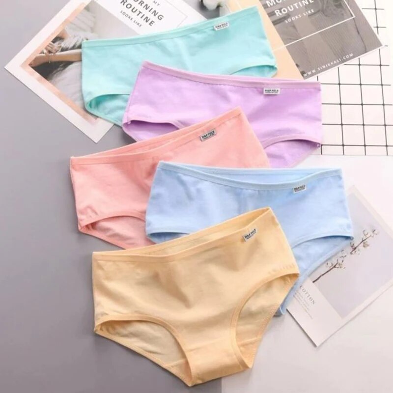 7개/세트 여성용 팬티 플러스 사이즈 속옷 면 팬티 소 - Multi Pack Underwear 리뷰 및 가격